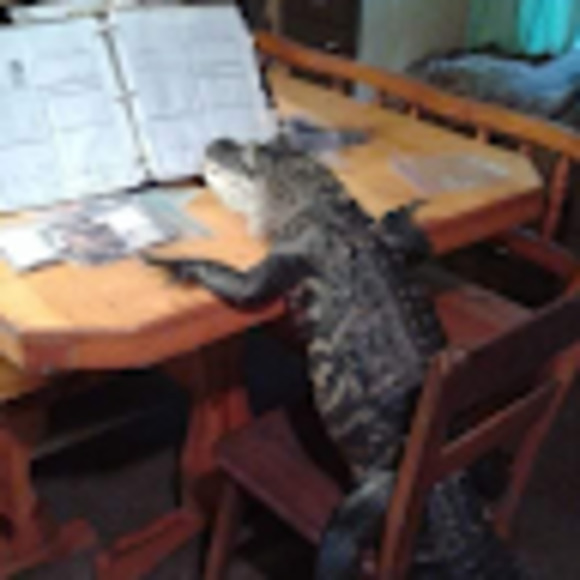 Meet your Posher, César - Picture 1 of 1